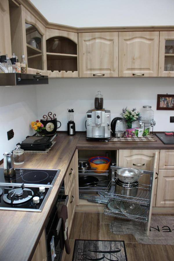 Ella Apartment Timisoara No9 外观 照片