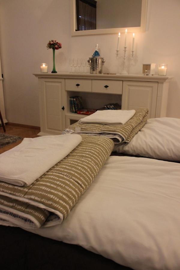 Ella Apartment Timisoara No9 外观 照片