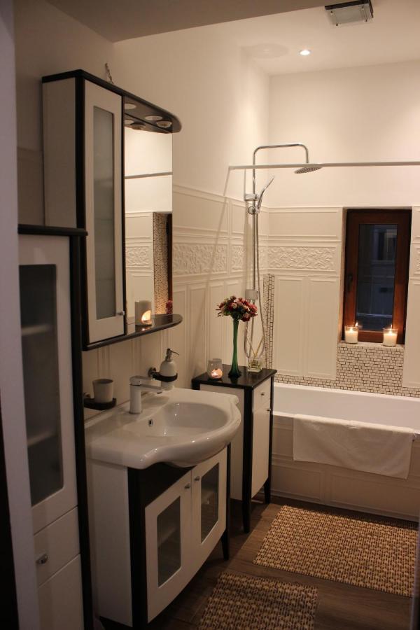 Ella Apartment Timisoara No9 外观 照片