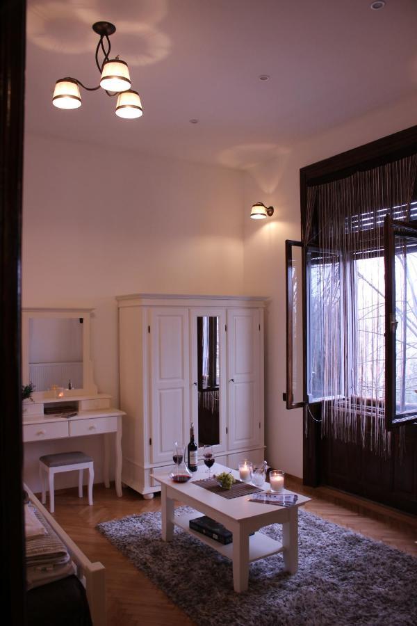 Ella Apartment Timisoara No9 外观 照片